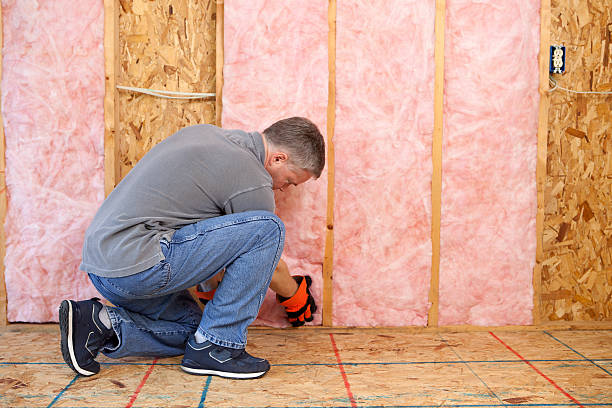 Best Residential Insulation Services  in Versailles, OH