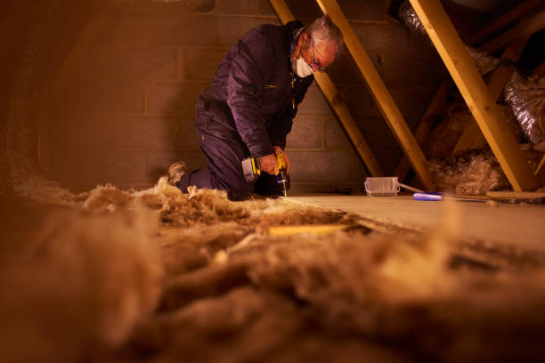 Insulation Replacement Services in Versailles, OH